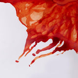 Winsor & Newton - Drawing Ink - 14ml Burnt Sienna