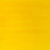 Galeria Acrylic Cadmium Yellow Medium Hue 60ml