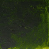 Winsor & Newton- Griffin Oil - 37ml Permanent Sap Green