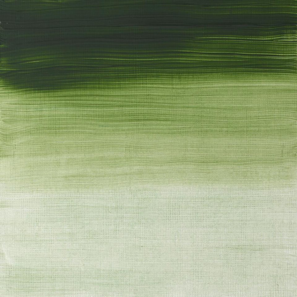 Winsor & Newton- Griffin Oil - 37ml Terre Verte
