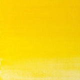 Winsor & Newton- Griffin Oil - 37ml Winsor Lemon