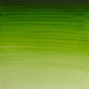 Permanent Sap Green Whole Pan - S1 Professional Watercolour