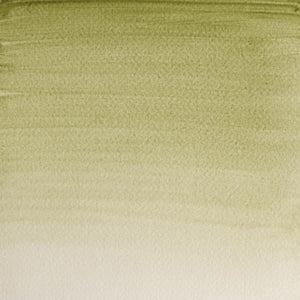 Terre Verte Yellow Shade 5ml - S1 Professional Watercolour