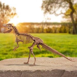 Discovery Kids Dinosaur Excavation Kit Skeleton 3D Puzzle T-Rex
