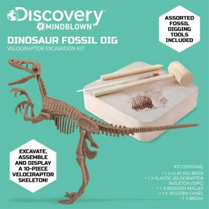 Dinosaur Excavation Kit Skeleton 3D Puzzle -Veloci