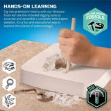 Dinosaur Excavation Kit Skeleton 3D Puzzle -Veloci
