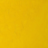 Winton Oil Colour Cadmium Yellow Pale Hue 37ml