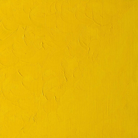 Winton Oil Colour Cadmium Yellow Pale Hue 37ml