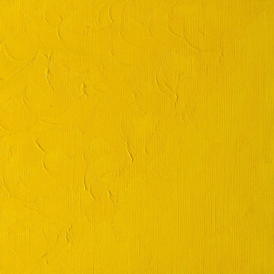 Winton Oil Colour Cadmium Yellow Pale Hue 200ml