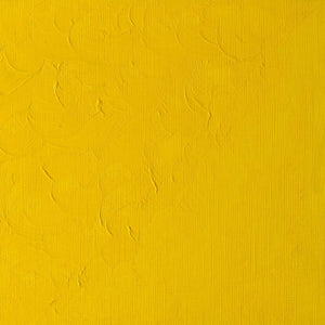 Winton Oil Colour Cadmium Yellow Pale Hue 200ml