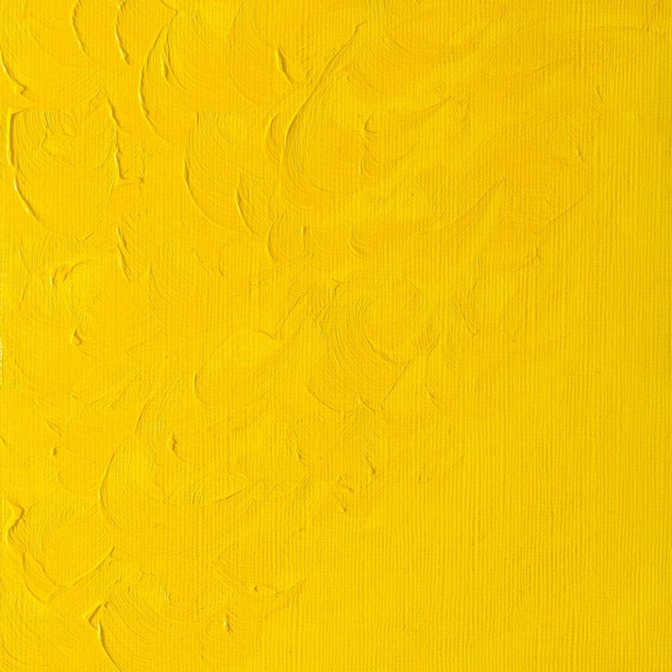 Winton Oil Colour Chrome Yellow Hue 37ml