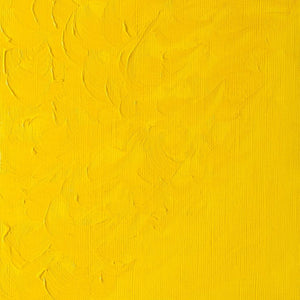 Winton Oil Colour Chrome Yellow Hue 200ml