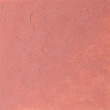 Winton Oil Colour Flesh Tint 200ml