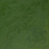 Winton Oil Colour Oxide Of Chromium 200ml