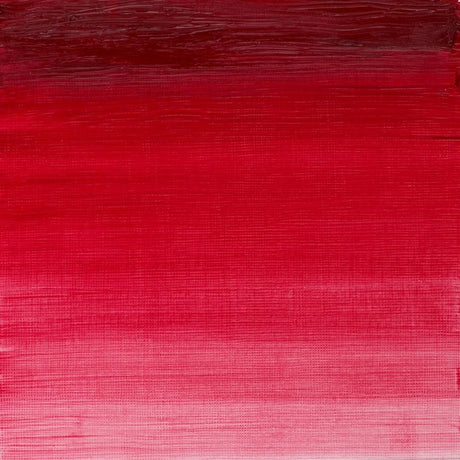 Winton Oil Colour Permanent Alizarin Crimson 37ml