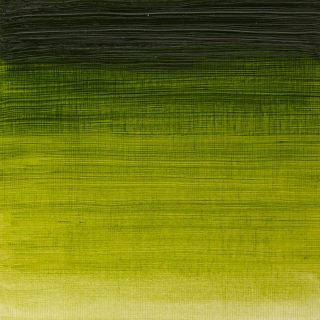 Winton Oil Colour Sap Green 37ml