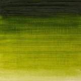 Winton Oil Colour Sap Green 37ml