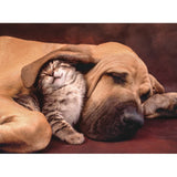 500 Piece Jigsaw Puzzle - Cuddles