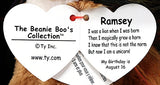 Beanie Boos-Ramsey Lion