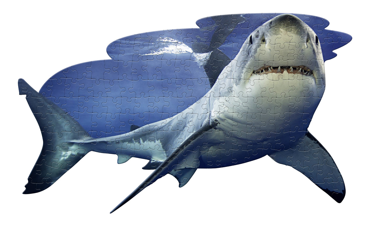 I AM LIL SHARK 100pc