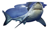 I AM LIL SHARK 100pc