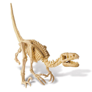 Dig A Dino-Velociraptor