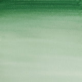 Cotman Watercolour Hooker's Green Dark 21ml