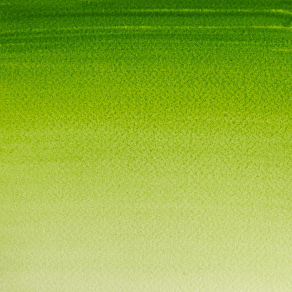 Cotman Watercolour Sap Green 21ml