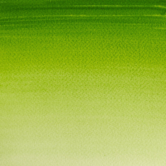 Cotman Watercolour Sap Green 21ml