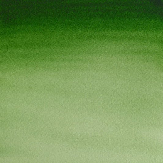 Cotman Watercolour Hooker's Green Light 21ml