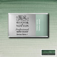 Terre Verte Whole Pan - S1 Professional Watercolour