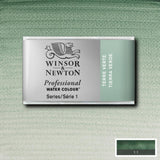 Terre Verte Whole Pan - S1 Professional Watercolour