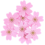 Felt Cherry Blossoms - Dark pink-gold embroidered (8 PCS)