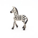 Zebra Foal