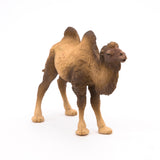 Bactrian Camel