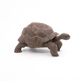 Papo Galápagos Tortoise