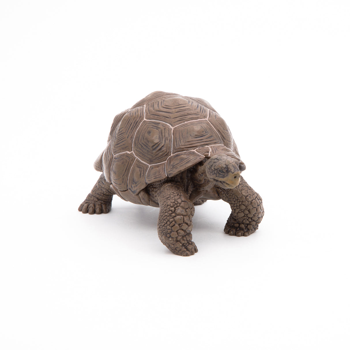 Papo Galápagos Tortoise