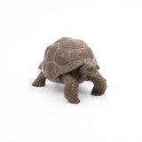 Papo Galápagos Tortoise