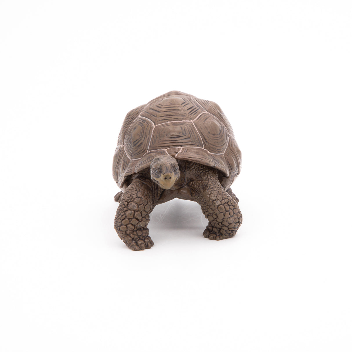 Papo Galápagos Tortoise