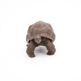 Papo Galápagos Tortoise