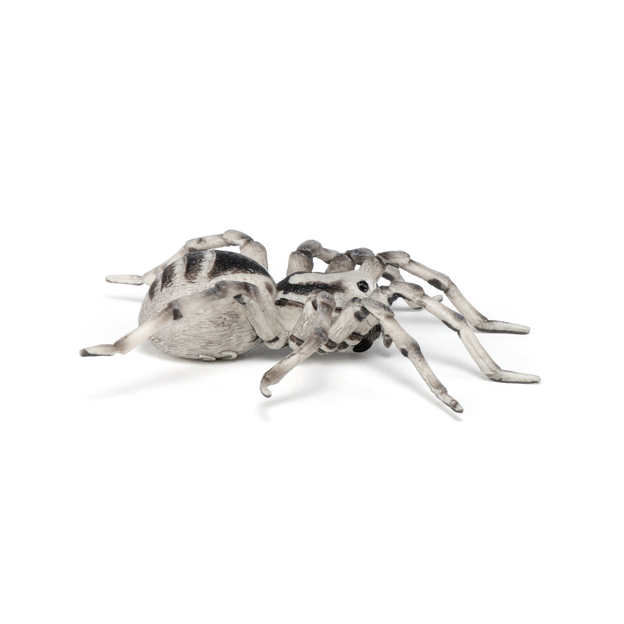 Papo Tarantula