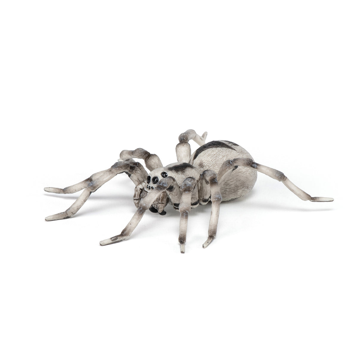 Papo Tarantula
