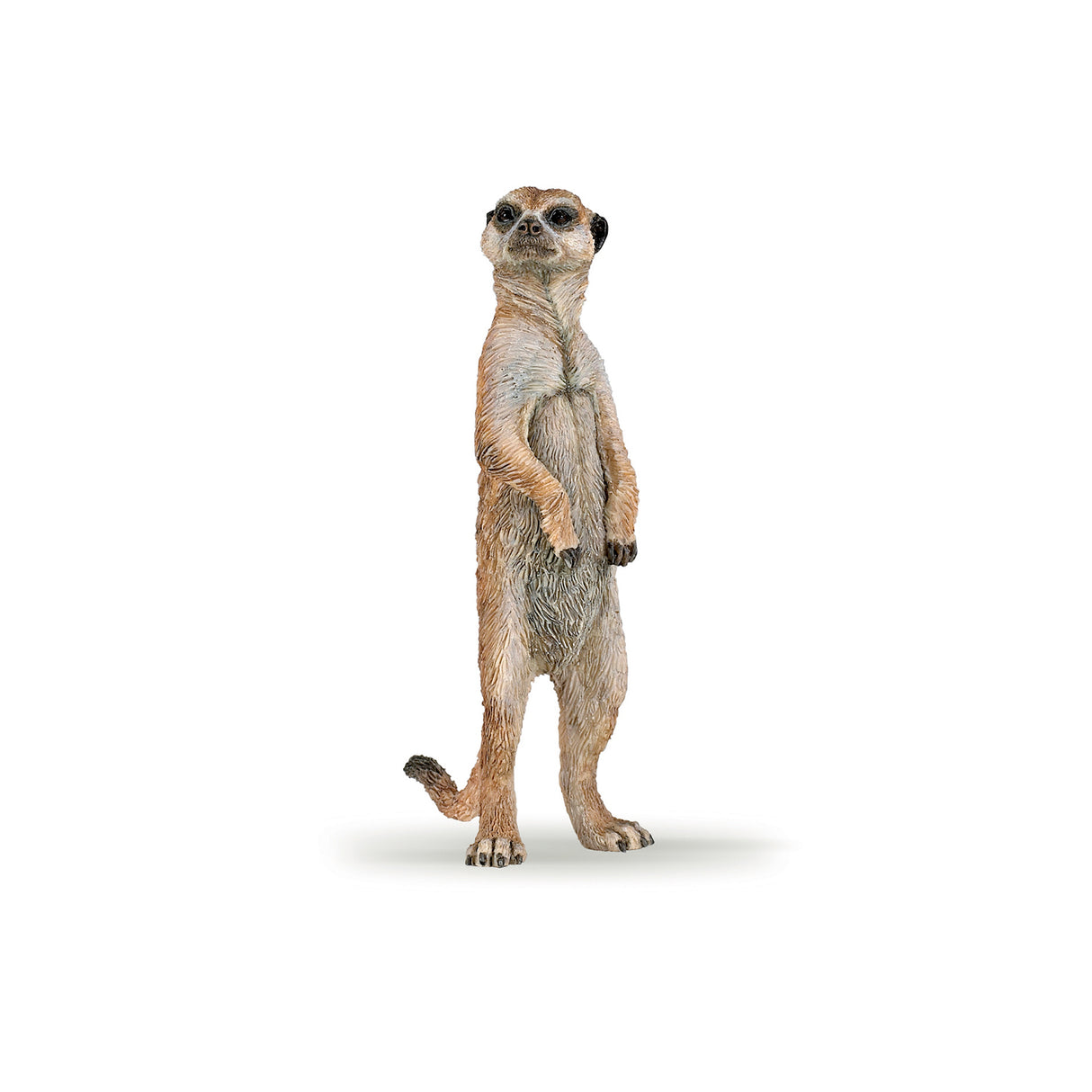 Standing Meerkat