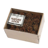 CREATIV PINE CONE -SINGLE