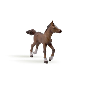 Papo Anglo-Arab Foal