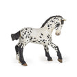 Black Appaloosa Foal Figure