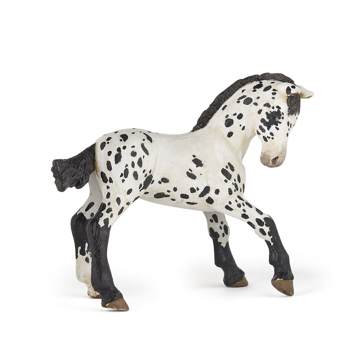 Black Appaloosa Foal Figure