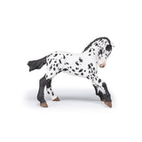 Black Appaloosa Foal Figure