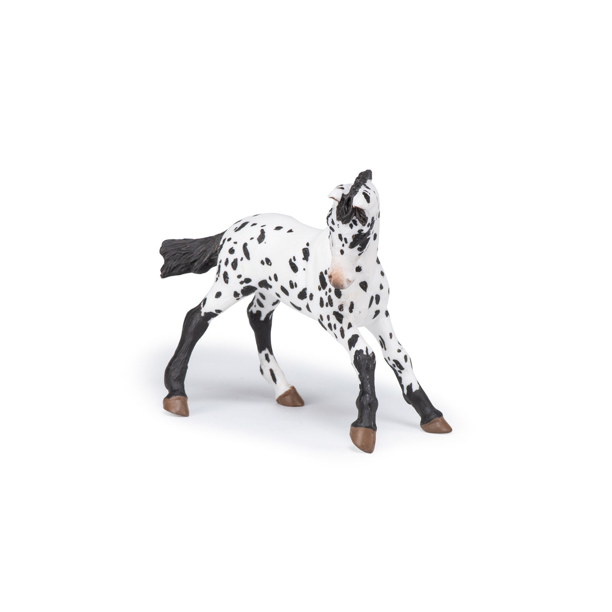 Black Appaloosa Foal Figure
