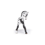 Black Appaloosa Foal Figure
